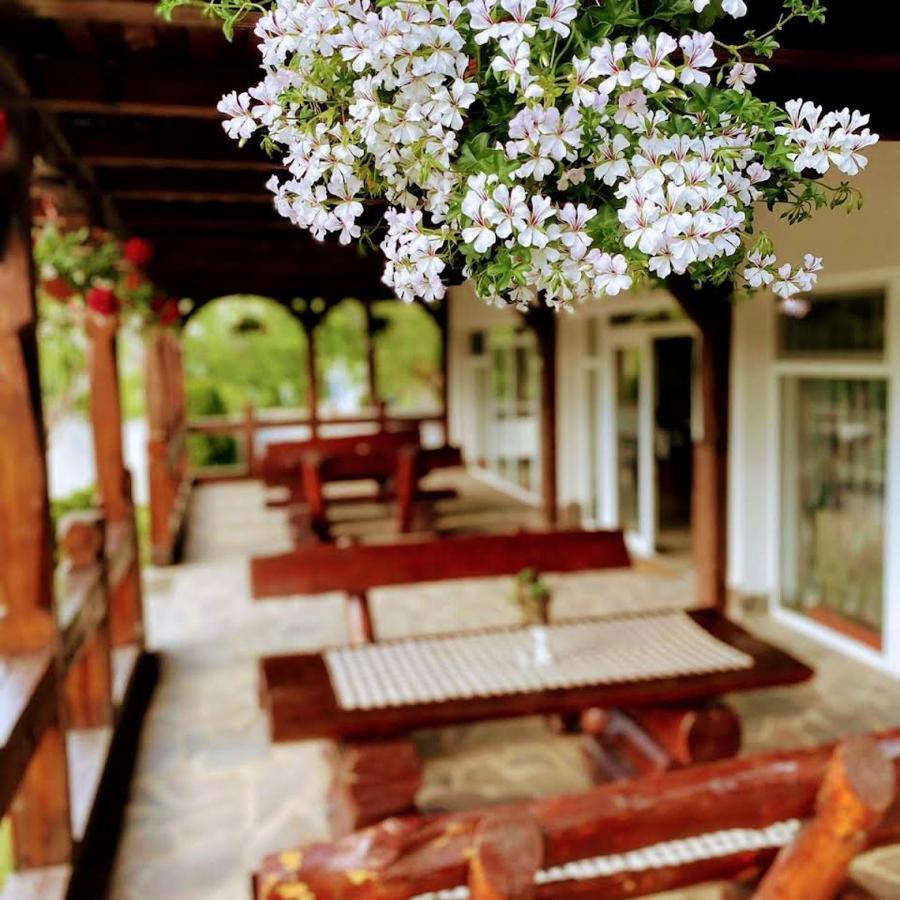 Pastravaria Alina Sirbi Dış mekan fotoğraf