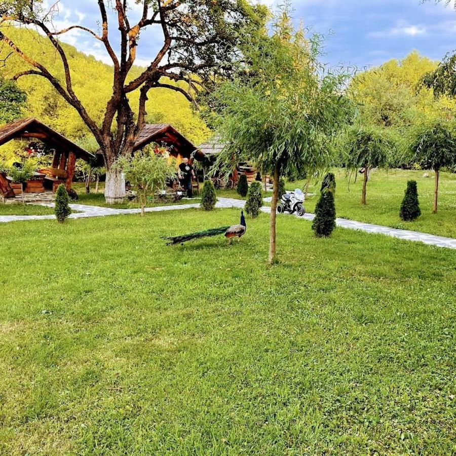 Pastravaria Alina Sirbi Dış mekan fotoğraf