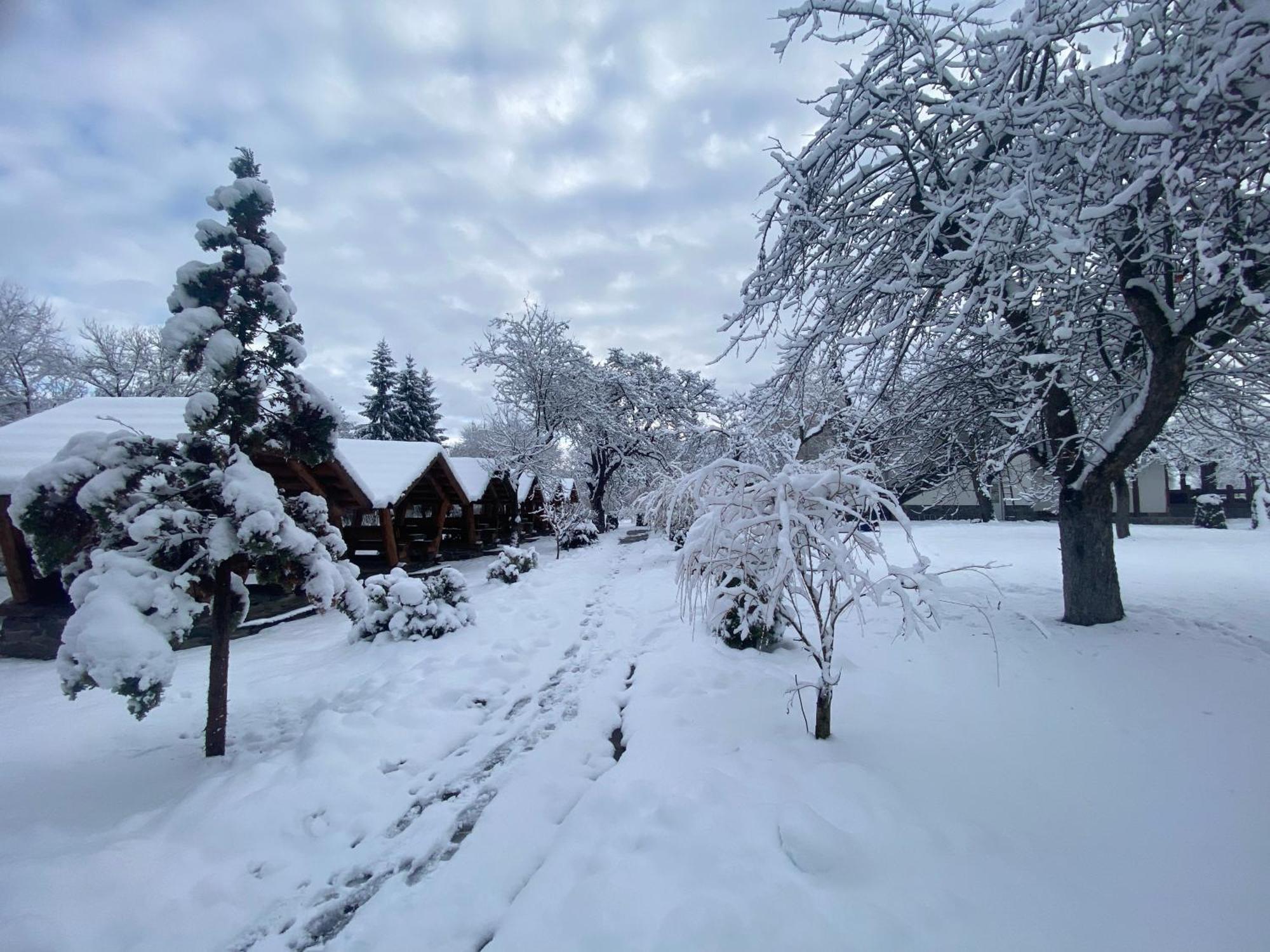 Pastravaria Alina Sirbi Dış mekan fotoğraf