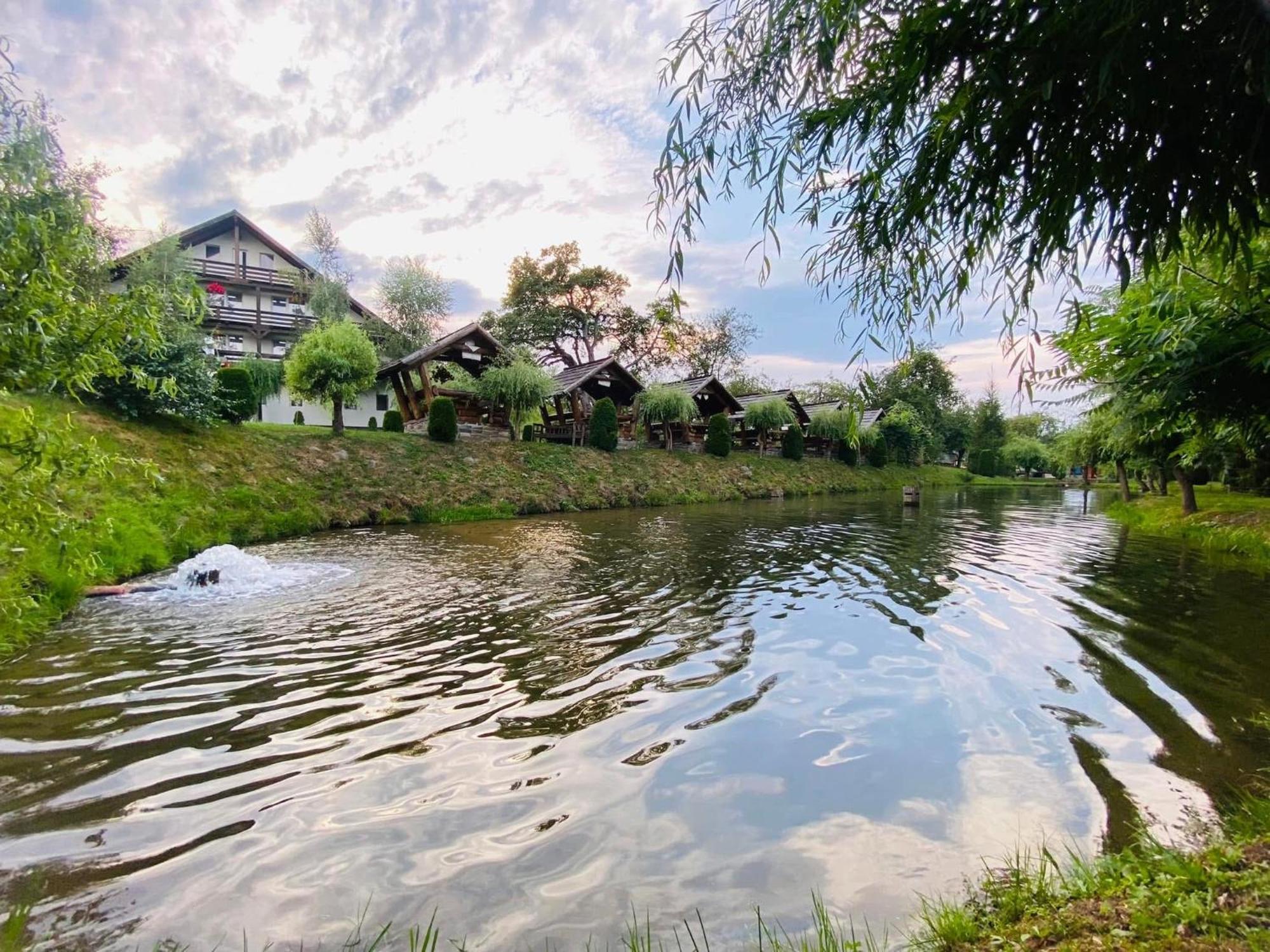 Pastravaria Alina Sirbi Dış mekan fotoğraf